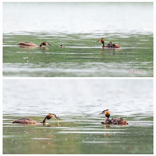 备孕半年未果？别焦虑！科学应对指南助你好孕来敲门