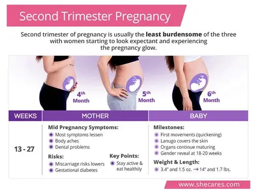 科学规划，幸福升级——二胎备孕全攻略