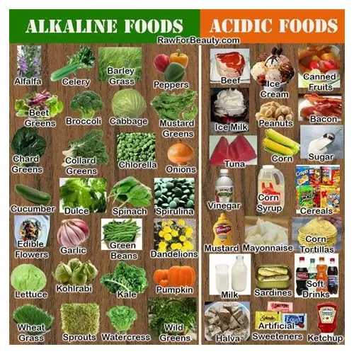 备孕男性必知：多吃这些碱性食物，助力好孕气！