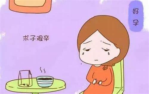 备孕一年半未果？科学解析与应对策略助你好孕降临