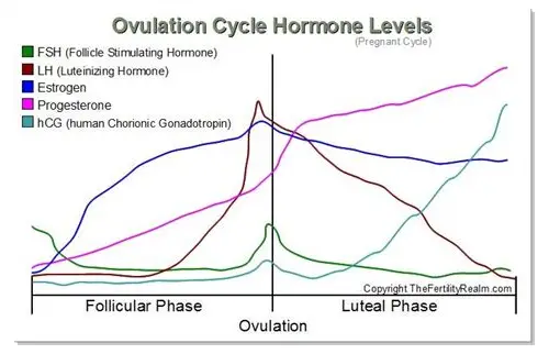 科学备孕指南：从身体调理到心理建设的全方位准备