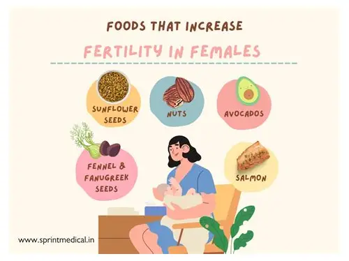 备孕吃些啥好？科学饮食助你好孕来