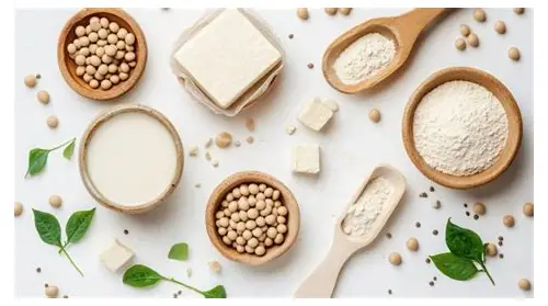 备孕多吃豆制品，为好“孕”助力添营养