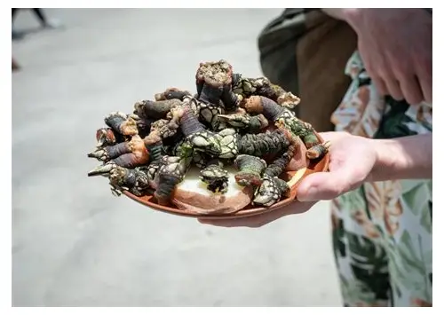 科学备孕饮食指南：吃出健康好“孕”气