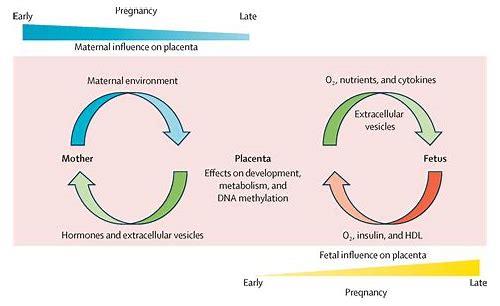 备孕避坑指南：这些事千万不能做！