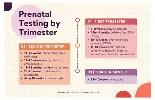 科学备孕全攻略：从身体调理到心理建设，助您好孕无忧
