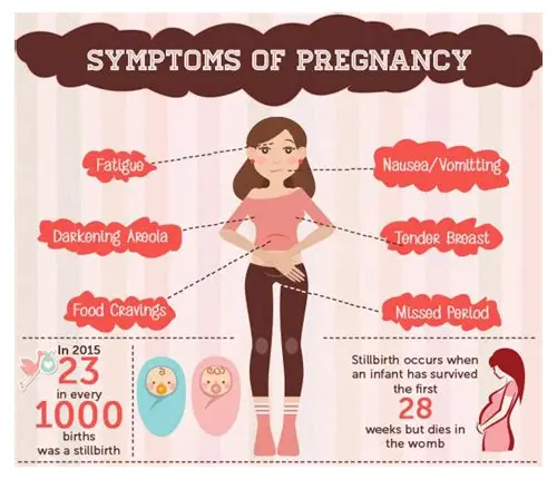 怀孕初期的情绪：一场微妙的心灵之旅
