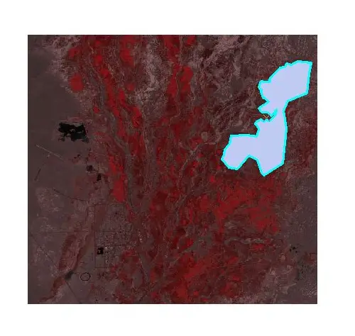 科学备孕：身体调理全攻略，迎接健康新生命