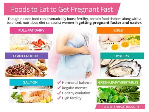 备孕都需要吃啥?科学饮食助你好“孕”气! 备孕都需要吃啥?科学饮食助你好“孕”气!