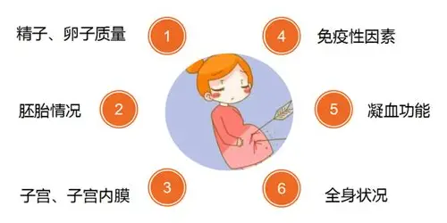 科学备孕全攻略：从身心到生活细节的全方位准备