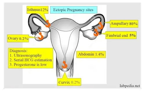 备孕避坑指南：这些事千万别做！守护好孕从细节开始