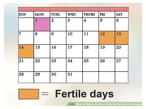 备孕的最佳时间：科学规划，迎接新生命的到来