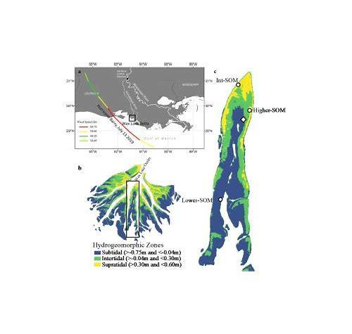 备孕调理用药指南：科学选择，助力好孕