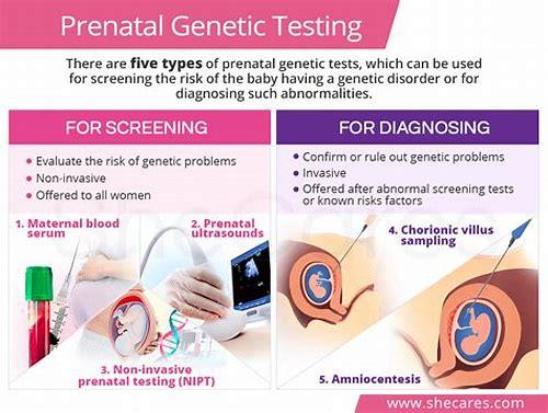 备孕都查什么？科学指南助你迎接健康宝宝
