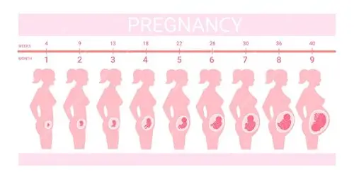 心里感觉怀孕了：一场灵魂深处的生命觉醒