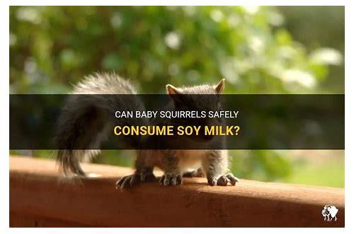 备孕豆浆喝法全攻略：科学搭配助你好孕来