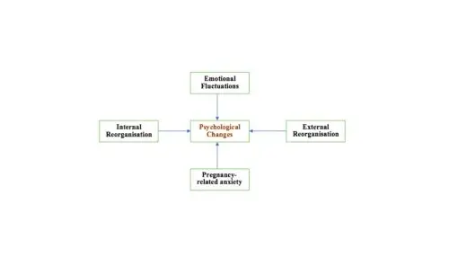 早孕心理变化：从惊喜到忐忑的成长之旅