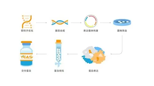 孕期心里烦躁怎么回事？解析原因与科学应对指南