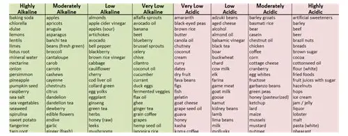 碱性食品助备孕，科学调理迎好孕
