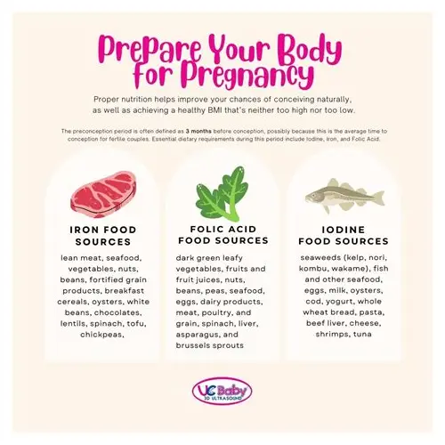 备孕都是什么？全面解读科学孕育的第一步