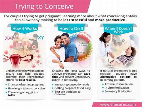 备孕一直不孕？这些因素与应对方法你需要了解