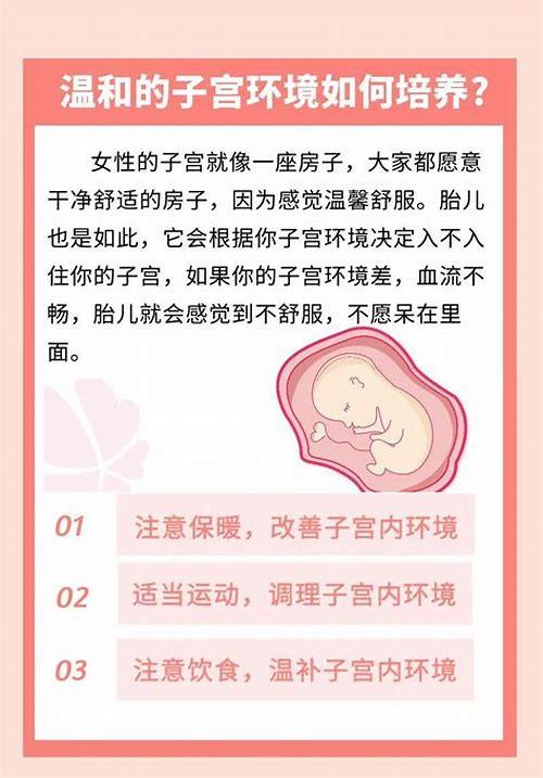 备孕怎样才能科学高效？从身体调理到心理建设的全方位指南