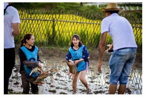 备孕都注意哪些？科学指南助你好孕成真