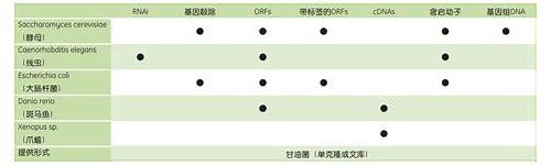 备孕检查男性篇：科学护航，为新生命奠定健康基石