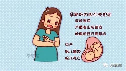 怀孕心里难受：情绪波动背后的科学与关怀