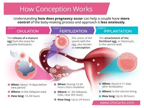 男士备孕养精指南：科学调理，助力优生优育