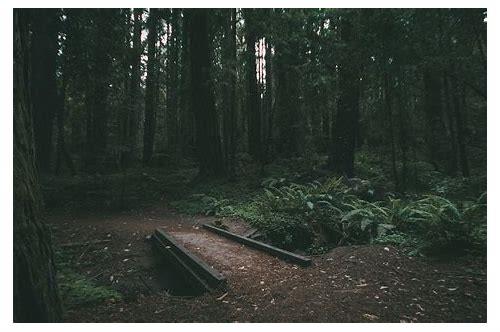 孕期情绪迷雾：为何孕妇总是压抑想哭？解锁背后的真相与应对之道