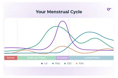 备孕要准备啥?全方位指南助你好孕无忧 备孕要准备啥?全方位指南助你好孕无忧