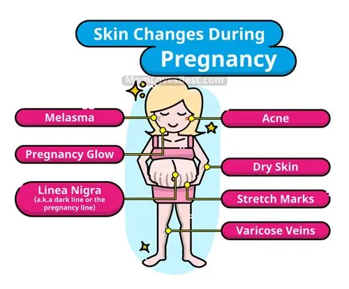 孕期心海导航：解析女人怀孕时的心理蜕变之旅