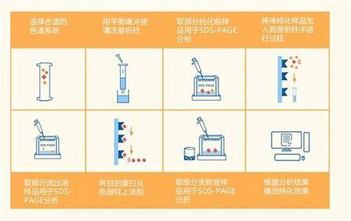 怀孕了不想要是什么心理？深度解析背后的复杂情感与抉择困境