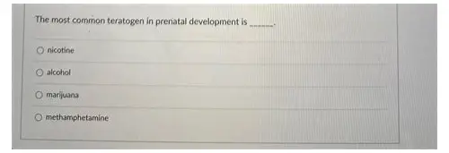 孕期心理筛查是什么：守护准妈妈的心灵健康之旅