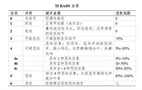 备孕没怀上孕？别焦虑，科学应对是关键