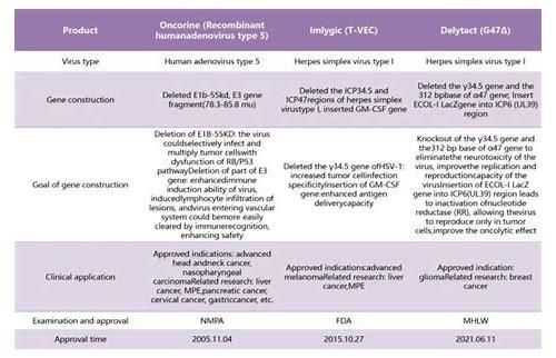 备孕期促甲状腺激素（TSH）管理：为母婴健康保驾护航