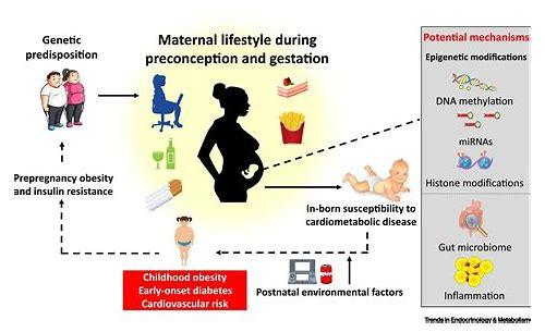 备孕避坑指南：这些事千万不能做！