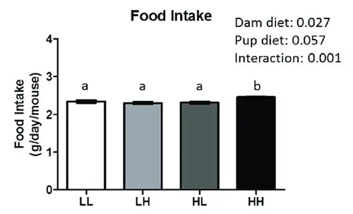 备孕前吃的调理：为孕育健康宝宝打下坚实基础