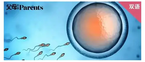 备孕吃蚕蛹好吗？营养优势、注意事项与科学建议全解析