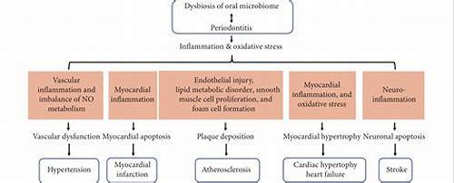 备孕必修课：深度解析风湿免疫检查的重要性与科学指南