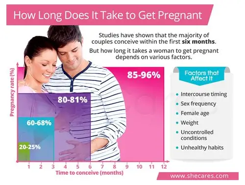 备孕多久会怀上？科学解读与实用建议