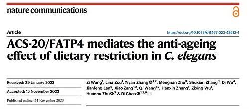 备孕期饮食新视角：科学解读“酸性食物”与孕育健康的关联