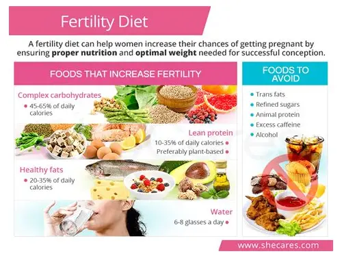 备孕都需要吃啥？科学饮食助你好“孕”气！