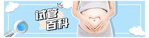 备孕的最佳月份:科学选择,为新生命铺就健康起点 备孕的最佳月份:科学选择,为新生命铺就健康起点