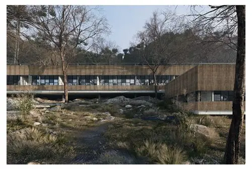 怀孕早期的心理情绪变化：一场微妙的心灵之旅