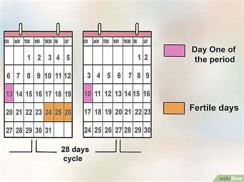 备孕的最好时间：科学规划，迎接新生命的黄金窗口期