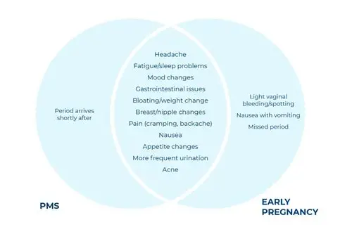 备孕的症状有哪些？科学解读身体信号与健康指南