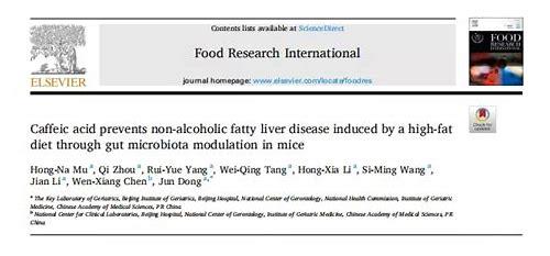 备孕期饮食新视角：科学解读“酸性食物”与孕育健康的关联