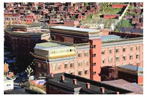 备孕大概要多久？科学规划助你高效迎接新生命